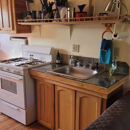 Angel Cottage With A Sauna Or The Cozy With A Jacuzzi Tub, Both Are Studios With A View Of Маунт Шаста Екстериор снимка