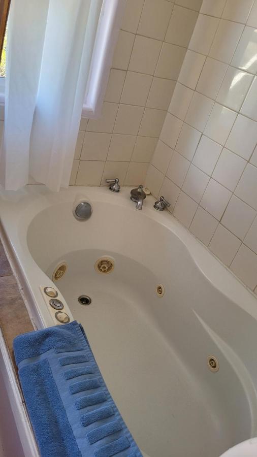 Angel Cottage With A Sauna Or The Cozy With A Jacuzzi Tub, Both Are Studios With A View Of Маунт Шаста Екстериор снимка
